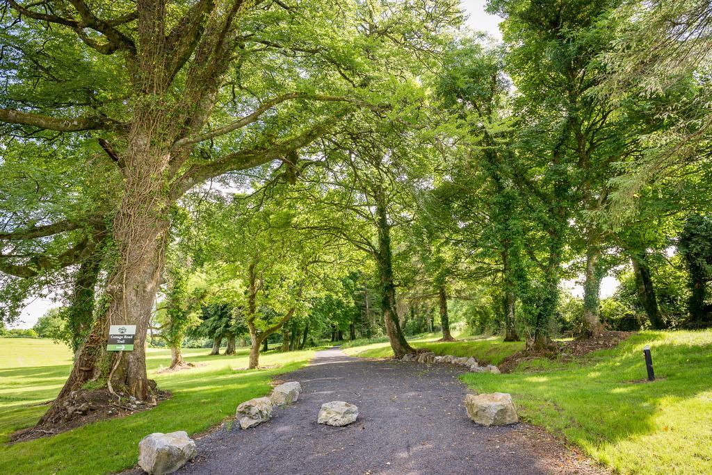 Breaffy Woods Hotel Castlebar Exterior photo